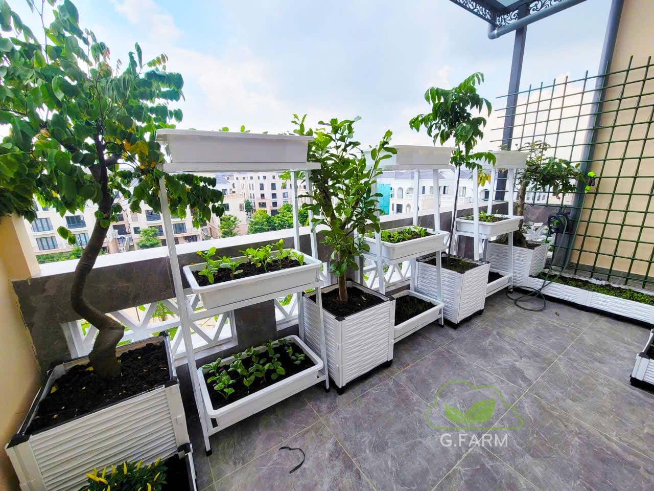 Vườn rau anh Dũng Vinhome Oceanpark 3